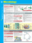 Microbiology Sparkcharts: Volume 42 Cover Image