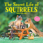 The Secret Life of Squirrels Wall Calendar 2024: A Year of Wild Squirrels By Workman Calendars, Nancy Rose Cover Image