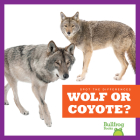 Wolf or Coyote? (Spot the Differences) Cover Image