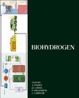 Biohydrogen By Ashok Pandey (Editor), Jo-Shu Chang (Editor), Patrick C. Hallenbeck (Editor) Cover Image