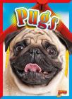 Pugs (Doggie Data) By Elizabeth Noll Cover Image