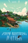 From Birthing Waters Cover Image