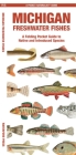 Michigan Freshwater Fishes: A Folding Guide to Native and Introduced Species (Pocket Naturalist Guide) By Waterford Press Cover Image