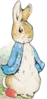 All About Peter (Peter Rabbit) By Beatrix Potter Cover Image