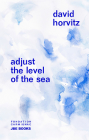 David Horvitz: Adjust the Level of the Sea By David Horvitz (Artist) Cover Image