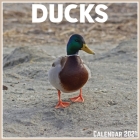Ducks Calendar 2021: Official Ducks Calendar 2021, 12 Months By Classic Art Fabric Cover Image