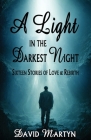 A Light in the Darkest Night By David Martyn Cover Image