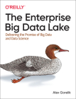 The Enterprise Big Data Lake: Delivering the Promise of Big Data and Data Science By Alex Gorelik Cover Image