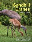 Sandhill Cranes, Family Times By Gail Diederich, Gail Diederich (Photographer) Cover Image