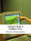 A Newbies Guide to FileMaker 11 Pro: A Beginners Guide to Database Management By Minute Help Guides Cover Image