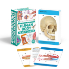 Our World in Pictures Human Body Flash Cards (DK Our World in Pictures) By DK Cover Image