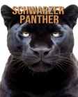 Schwarzer Panther: Erfahren Sie mehr über Schwarzer Panther und genießen Sie erstaunliche Fakten und Bilder Cover Image