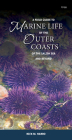 A Field Guide to Marine Life of the Outer Coasts of the Salish Sea and Beyond Cover Image