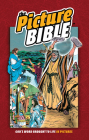 The Picture Bible Cover Image