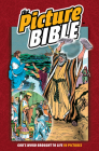 The Picture Bible Cover Image