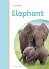 Elephant By Wendy Perkins Cover Image