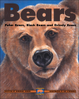 Bears: Polar Bears, Black Bears and Grizzly Bears (Kids Can Press Wildlife Series) By Deborah Hodge, Pat Stephens (Illustrator) Cover Image