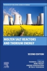 Molten Salt Reactors and Thorium Energy Cover Image