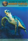 Top 50 Reasons to Care about Marine Turtles: Animals in Peril (Top 50 Reasons to Care about Endangered Animals) By Sara Cohen Christopherson Cover Image