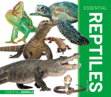 Essential Reptiles By K. A. Hale Cover Image