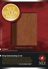 Study Bible-NLT-Personal Size Cover Image