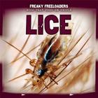 Lice (Freaky Freeloaders: Bugs That Feed on People) By Nick Christopher Cover Image