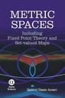 Metric Spaces: Including Fixed Point Theory and Set-Valued Maps By Qamrul Hasan Ansari Cover Image