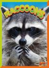 Raccoons (Wild Animal Kingdom) By Gail Terp Cover Image