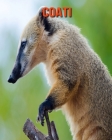 Coati: Amazing Facts & Pictures By Pam Louise Cover Image