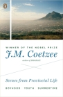 Scenes from Provincial Life: Boyhood, Youth, Summertime By J. M. Coetzee Cover Image