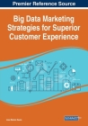 Big Data Marketing Strategies for Superior Customer Experience By Jose Ramon Saura (Editor) Cover Image