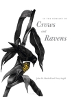 In the Company of Crows and Ravens By John M. Marzluff, Tony Angell, Paul R. Ehrlich (Foreword by) Cover Image