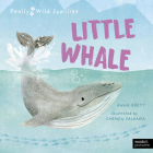 Little Whale: A Day in the Life of a Little Whale (Really Wild Families) By Anna Brett, Carmen Saldana (Illustrator) Cover Image