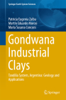 Gondwana Industrial Clays: Tandilia System, Argentina-Geology and Applications (Springer Earth System Sciences) Cover Image