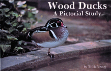 Wood Ducks a Pictorial Study Cover Image