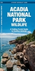 Acadia National Park Wildlife: A Folding Pocket Guide to Familiar Animals (Pocket Naturalist Guide) By James Kavanagh, Waterford Press, Raymond Leung (Illustrator) Cover Image
