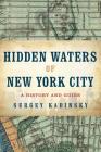 Hidden Waters of New York City: A History and Guide to 101 Forgotten Lakes, Ponds, Creeks, and Streams in the Five Boroughs By Sergey Kadinsky Cover Image