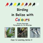 Birding in Belize with Colours By Dorothy Beveridge, Jim Beveridge (Photographer) Cover Image