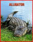 Alligator: Beautiful Pictures & Interesting Facts Children Book About Alligator By Emily Rennie Cover Image