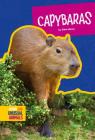 Capybaras (Weird and Unusual Animals) By Allan Morey Cover Image