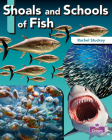 Shoals and Schools of Fish By Rachel Stuckey Cover Image