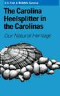 The Carolina Heelsplitter in the Carolinas By U S Fish & Wildlife Service Cover Image