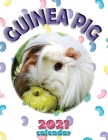 Guinea Pig 2021 Calendar Cover Image