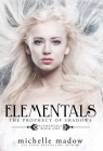 Elementals: The Prophecy of Shadows By Michelle Madow Cover Image