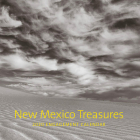 New Mexico Treasures 2021: Engagement Calendar Cover Image