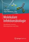 Molekulare Infektionsbiologie: Interaktionen Zwischen Mikroorganismen Und Zellen By Jörg Hacker (Editor), Jürgen Heesemann (Editor) Cover Image