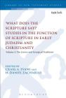 'What Does the Scripture Say?' Studies in the Function of Scripture in Early Judaism and Christianity, Volume 2: Volume 2: The Letters and Liturgical (Library of New Testament Studies #2) By Craig A. Evans (Editor), H. Daniel Zacharias (Editor) Cover Image