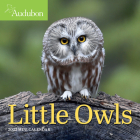 Audubon Little Owls Mini Wall Calendar 2022 By National Audubon Society, Workman Calendars Cover Image