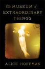 The Museum of Extraordinary Things: A Novel Cover Image