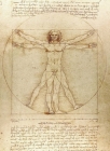 Vitruvian Man Notebook By Leonardo Da Vinci Cover Image